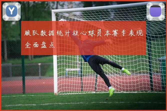 狼队数据统计核心球员本赛季表现全面盘点