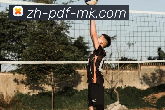 MK体育平台生态图