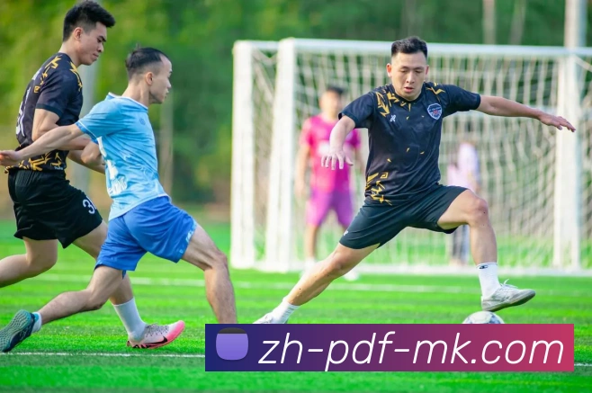 MK体育APP 封面图